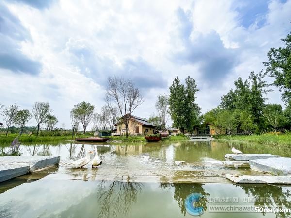 af19346f414d4dd5abc384024d9c952f_B_BASIC