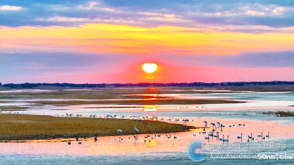 7294374951ae484db4a30c4c527284ce_B_BASIC